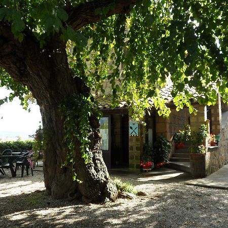 Mola Solis Hotel Civitella dʼAgliano Exterior foto